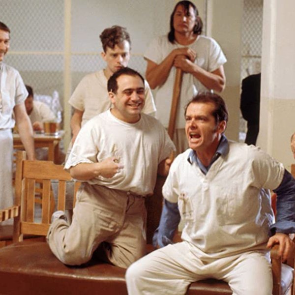 Los nidos que le hicieron al&nbsp;Cuco